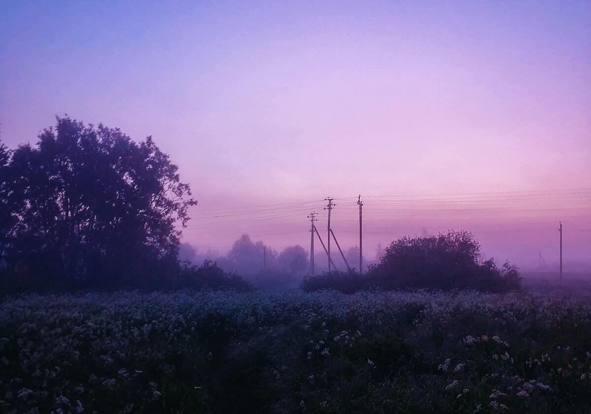 pvp.wanmei.com 官网-专访王蔷③:一块五味杂陈的披萨 仿佛一夜之间长大